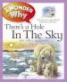 Audiobook I Wonder why There'S a Hole in the sky: And Other Questions About the Environment author Sean Callery