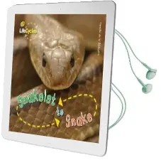 Life Cycles: Snakelet to Snake Audiobook download free by Camilla De La Bedoyere