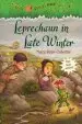 Audiobook Magic Tree House #43 Leprechaun in Late Winter author Mary Pope Osborne