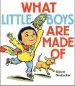 Audiobook What Little Boys are Made of author Robert Neubecker