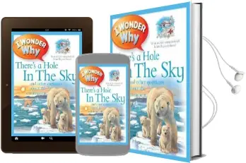 I Wonder why There'S a Hole in the sky Audiobook download free by Jackie Gaff