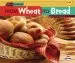 Audiobook From Wheat to Bread - Start to Finish Food author Stacy Taus Bolstad