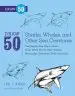 Audiobook Draw 50 Sharks, Whales, and Other sea Creatures author Lee J. Ames