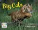 Audiobook Big Cats author Sharnika Blacker