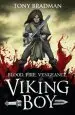 Audiobook Viking boy author Tony Bradman