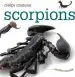 Audiobook Creepy Creatures: Scorpions author Valerie Bodden