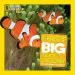 Audiobook National Geographic Little Kids First big Book of the Ocean author Catherine D Hughes