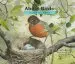 Audiobook About Birds: A Guide for Children author Cathryn Sill