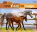 Audiobook From Foal to Horse author Robin Nelson