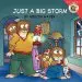Audiobook Little Critter: Just a big Storm author Mercer Mayer