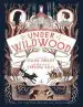 Audiobook Under Wildwood author Colin Meloy