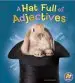 Audiobook Hatfull of Adjectives author Bette Blaisdell