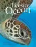 Audiobook Lifesize Ocean author Anita Ganeri