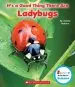 Audiobook It'S a Good Thing There are Ladybugs author Joanne Mattern