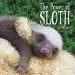 Audiobook The Power of Sloth author Lucy Cooke