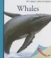 Audiobook Whales author Ute Fuhr