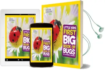 Little Kids First big Book of Bugs Audiobook download free by Catherine D. Hughes