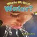 Audiobook Why do we Need Water? author Kelley Macauley