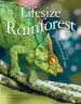 Audiobook Lifesize Rainforest author Anita Ganeri