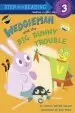 Audiobook Wedgieman and the big Bunny Trouble author Charise Mericle Harper