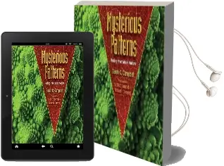 Mysterious Patterns: Finding Fractals in Nature Audiobook download free by Sarah C. Campbell