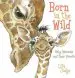 Audiobook Born in the Wild: Baby Animals and Their Parents author Lita Judge
