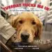 Audiobook Tuesday Tucks me in: The Loyal Bond Between a Soldier and his Service dog author Bret Witter
