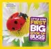 Audiobook Nat geo Little Kids First big Book of Bugs author Catherine D. Hughes