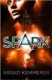 Audiobook Spark author Brigid Kemmerer