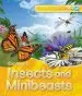 Audiobook Explorers: Insects and Minibeasts author Jinny Johnson