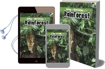 Living and Non-Living in the Rainforest Audiobook download free by Rebecca Rissman