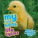 Audiobook My Little Book of Life Cycles: Packed Full of Cool Photos and Fascinating Facts! author Camilla De La Bedoyere