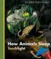 Audiobook How Animals Sleep author Sylvaine Peyrols