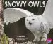 Audiobook Snowy Owls author Gail Saunders Smith