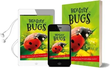 It'S all About... Beastly Bugs Audiobook download free by Kingfisher