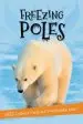 Audiobook It'S all About... Freezing Poles author Kingfisher