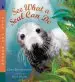 Audiobook See What a Seal can do author Chris Butterworth