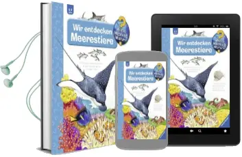 Wir Entdecken Meerestiere Audiobook download free by Andrea Erne