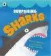 Audiobook Surprising Sharks author Nicola Davies