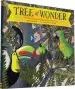 Audiobook Tree of Wonder: The Many Marvelous Lives of a Rainforest Tree author Kate Messner