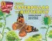 Audiobook From Caterpillar to Butterfly author Deborah Heiligman