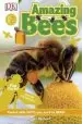 Audiobook Amazing Bees author Sue Unstead