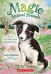 Audiobook Evie Scruffypup'S big Surprise (Magic Animal Friends #10) author Daisy Meadows