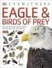 Audiobook Eagle & Birds of Prey author Dk