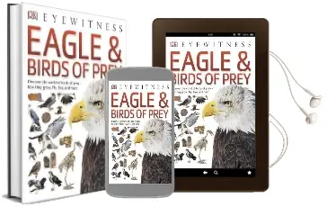 Eagle & Birds of Prey Audiobook download free by Dk