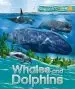 Audiobook Explorers: Whales and Dolphins author Anita Ganeri