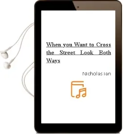 When you Want to Cross the Street, Look Both Ways Audiobook download free by Nicholas Ian