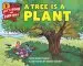 Audiobook A Tree is a Plant author Clyde Robert Bulla