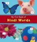 Audiobook Hindi Words author Katy R. Kudela