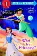 Audiobook What is a Princess? (Disney Princess) author Jennifer Liberts